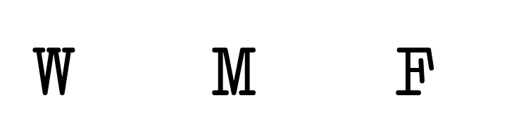 Erica Type Italic  Free Fonts Download