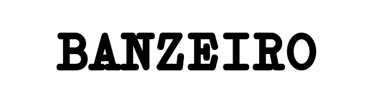 Erica Type Bold  Free Fonts Download