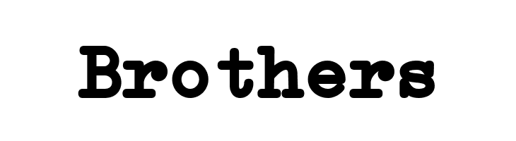 Erica Type Bold  Free Fonts Download