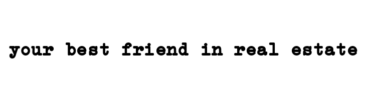 Erica Type Bold  Free Fonts Download