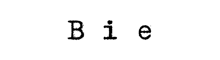 ErikasBuero-Italic  Free Fonts Download
