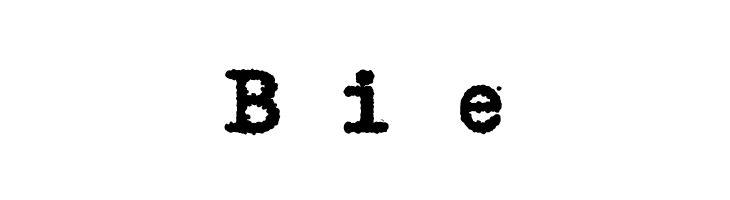 ErikasBuero-BoldItalic  Free Fonts Download