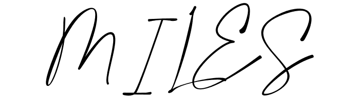 Amalfi Coast  Free Fonts Download