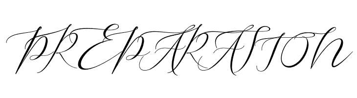 Pretty Women Script  Free Fonts Download