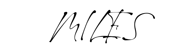 Raullina Aguste  Free Fonts Download