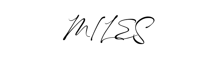 Maestro Signature  Free Fonts Download