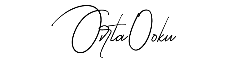 Starcity Script  Free Fonts Download