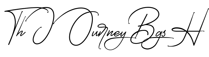 Starcity Script  Free Fonts Download