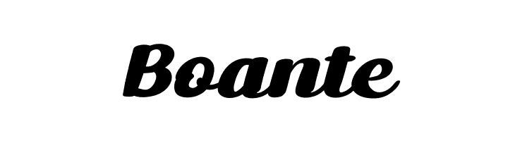 Nicky Script Personal Use  Free Fonts Download