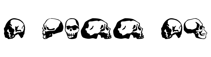 SkullBearer AOE  Free Fonts Download