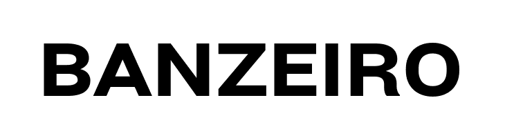 Bert Sans Black  Free Fonts Download