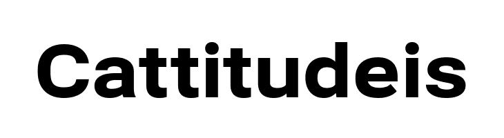 Bert Sans Black  Free Fonts Download