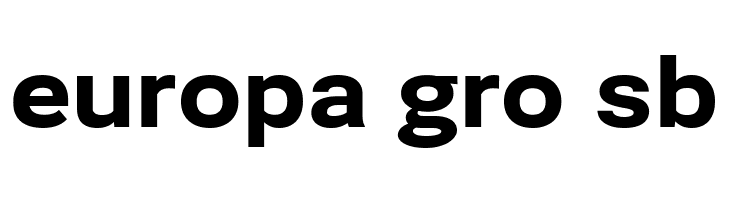 Bert Sans Black  Free Fonts Download