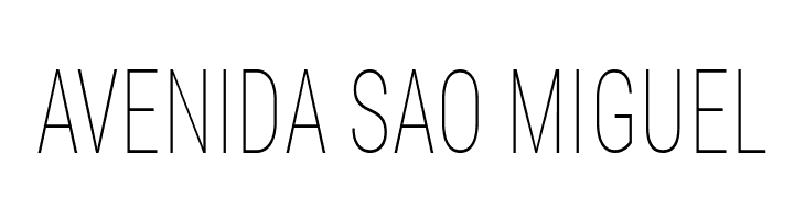 Bert Sans Thin  Free Fonts Download