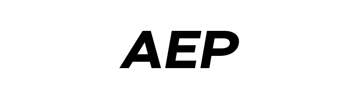 Bert Sans Black Italic  Free Fonts Download