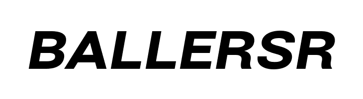 Bert Sans Black Italic  Free Fonts Download