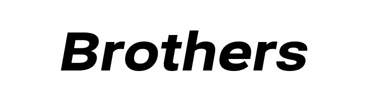 Bert Sans Black Italic  Free Fonts Download