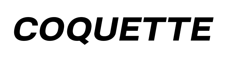 Bert Sans Black Italic  Free Fonts Download