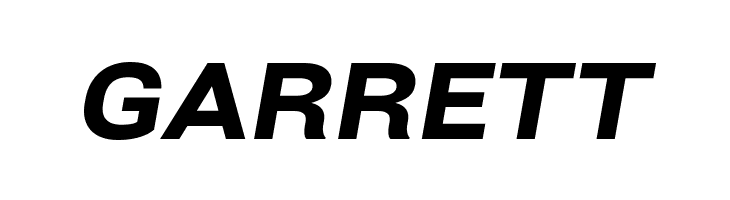 Bert Sans Black Italic  Free Fonts Download