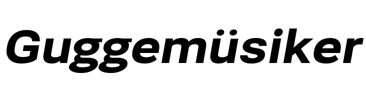 Bert Sans Black Italic  Free Fonts Download