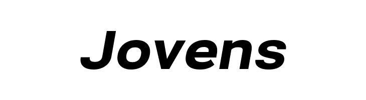 Bert Sans Black Italic  Free Fonts Download