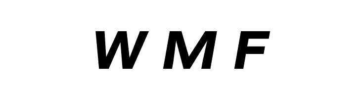 Bert Sans Black Italic  Free Fonts Download