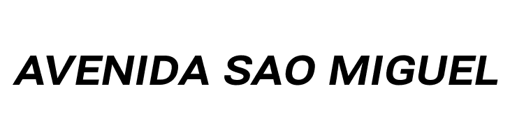 Bert Sans ExtraBold Italic  Free Fonts Download