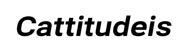 Bert Sans ExtraBold Italic  Free Fonts Download