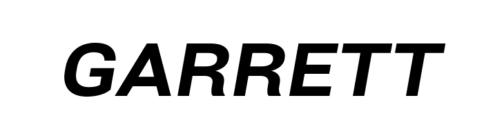 Bert Sans ExtraBold Italic  Free Fonts Download