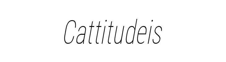 Bert Sans Thin Italic  Free Fonts Download