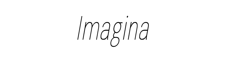 Bert Sans Thin Italic  Free Fonts Download