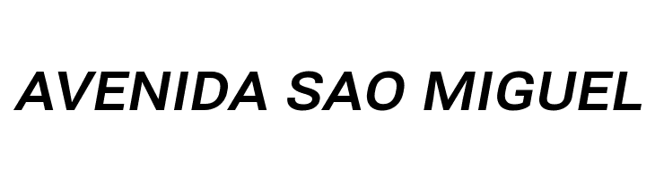 Bert Sans Bold Italic  Free Fonts Download