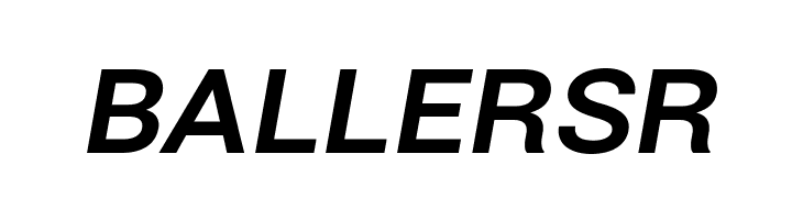 Bert Sans Bold Italic  Free Fonts Download