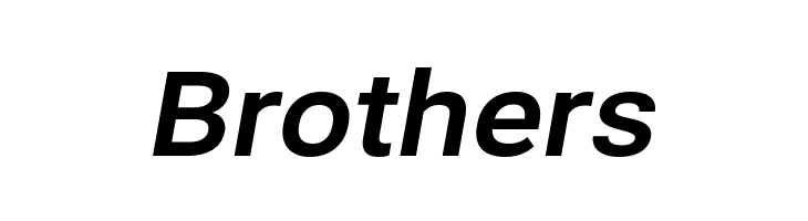 Bert Sans Bold Italic  Free Fonts Download