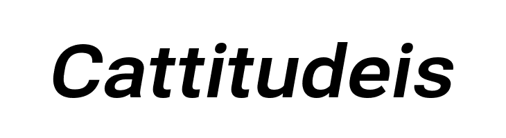 Bert Sans Bold Italic  Free Fonts Download