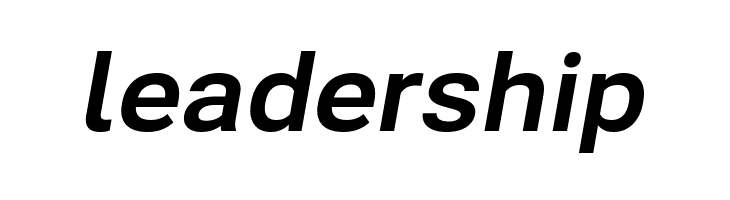 Bert Sans Bold Italic  Free Fonts Download