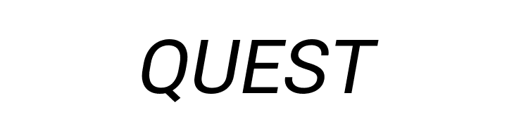 Bert Sans Medium Italic  Free Fonts Download