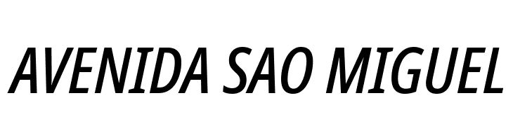 Avrile Sans Condensed Medium Italic  Free Fonts Download