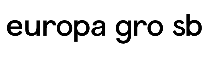Panamera  Free Fonts Download