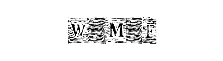 WavEd Regular  Free Fonts Download
