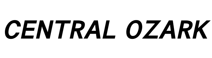 Tuffy Bold Italic  Free Fonts Download