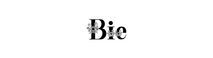 Sunflor craft  Free Fonts Download