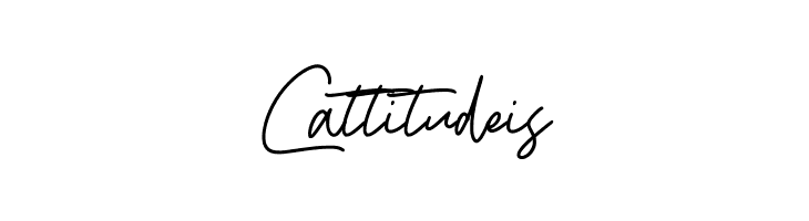 BossSignature  Free Fonts Download