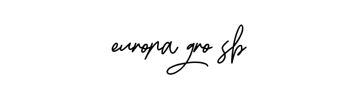 BossSignature  Free Fonts Download