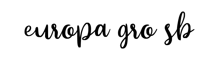 Beyonce  Free Fonts Download