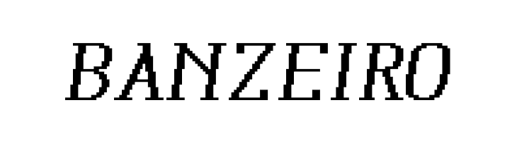 Xilla Pro Bold Italic  Free Fonts Download