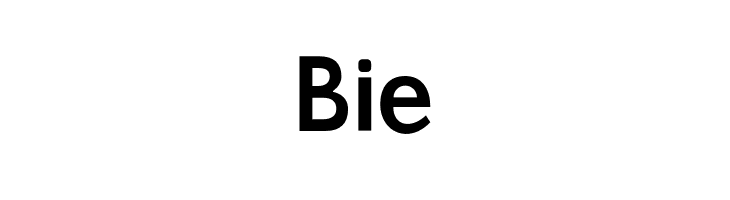 Gama-Sans Bold  Free Fonts Download