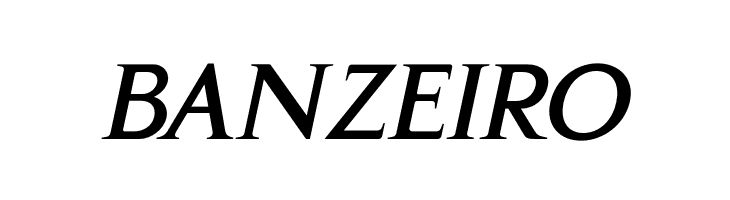 Gama-Serif Bold Italic  Free Fonts Download