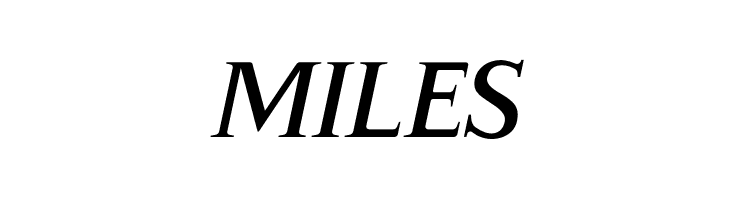 Gama-Serif Bold Italic  Free Fonts Download