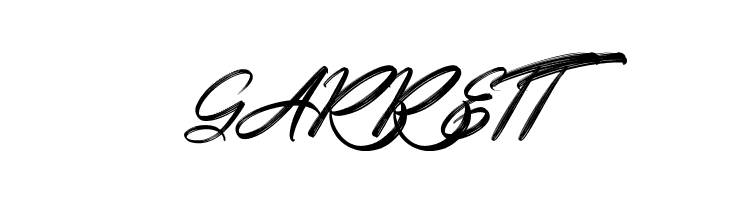 Kalvise Brushy  Free Fonts Download